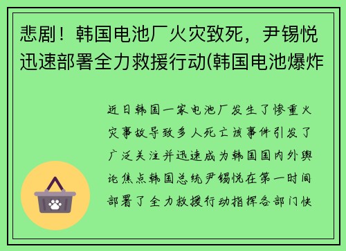 悲剧！韩国电池厂火灾致死，尹锡悦迅速部署全力救援行动(韩国电池爆炸)