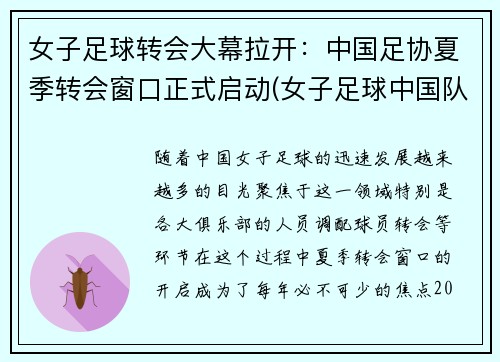女子足球转会大幕拉开:中国足协夏季转会窗口正式启动(女子足球中国队) 女子足球转会大幕拉开:中国足协夏季转会窗口正式启动(女子足球中国队)