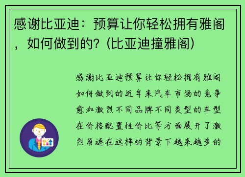 感谢比亚迪：预算让你轻松拥有雅阁，如何做到的？(比亚迪撞雅阁)