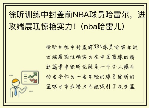 徐昕训练中封盖前NBA球员哈雷尔，进攻端展现惊艳实力！(nba哈雷儿)